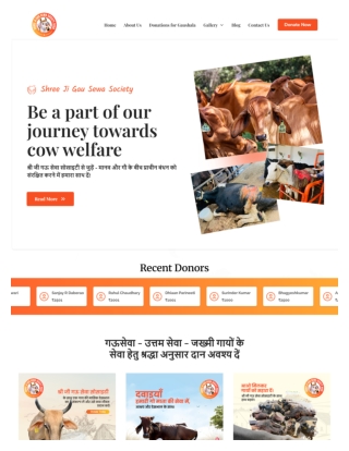 Make a Cow Donation – Support Gau Seva for Abandoned and Injured Cows