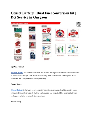 Genset Battery | Dual Fuel conversion kit | DG Service in Gurgaon