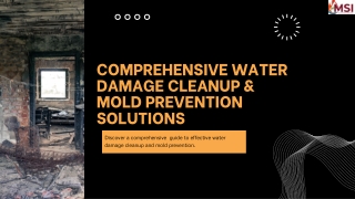 Comprehensive Water Damage Cleanup & Mold Prevention Solutions
