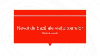 nevoi_de_baza_ale_vietuitoarelor