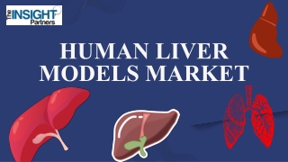 Human Liver Models Market