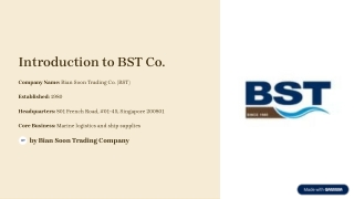 Comprehensive Marine Supply Solutions by BST Co.
