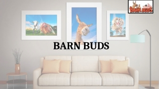 BarnBuds Chicken Wall Art – Perfect for Country Kitchens
