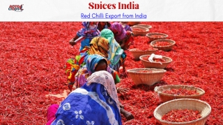 Red Chilli Export from India