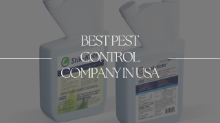 Best Pest Control Company In USA