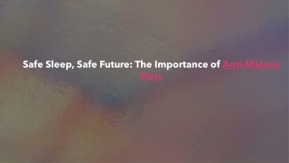Safe Sleep, Safe Future The Importance of Anti-Malaria Nets_