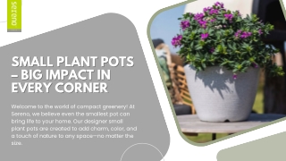 Neat, Stylish & Compact Small Plant Pots by Sereno