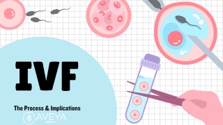 IVF Biology Presentation in a Bold Blue and Pink Style