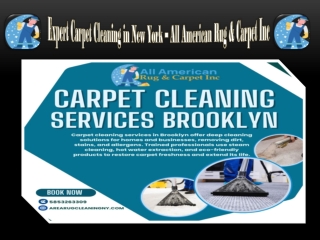 Expert Carpet Cleaning in New York