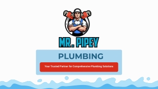 Mr. Pipey - Your Trusted Partner for Plumbing Solutions