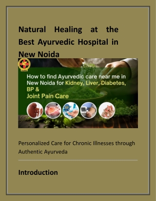 Natural Healing at the Best Ayurvedic Hospital in New Noida