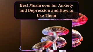 Best Mushroom for Anxiety and Depression and How to Use Them