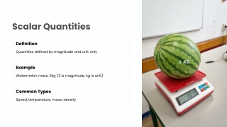 scalar quantities