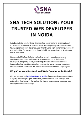 sna tech solution your trusted web developer
