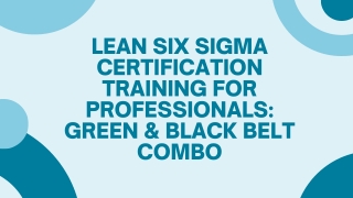 Lean Six Sigma Certification Training for Professionals: Green & Black Belt Comb