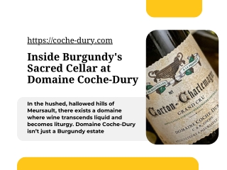 Inside Burgundy's Sacred Cellar at Domaine Coche-Dury
