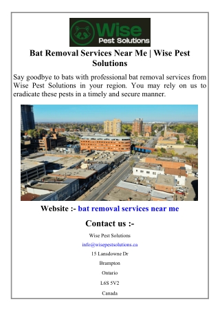 bat removal services near me wise pest solutions