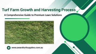 Turf Farm Growth and Harvesting Process-A Comprehensive Guide to Premium Lawn Solutions