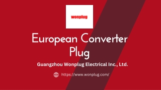 european converter plug