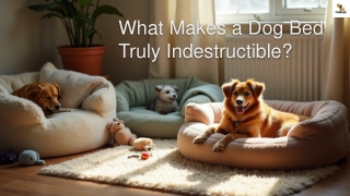 what makes a dog bed truly indestructible