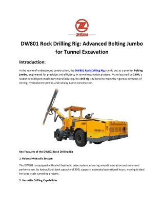 DW801 Rock Drilling Rig for Tunnel & Mining Projects