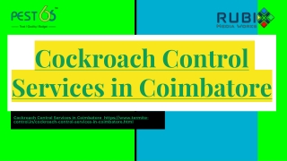 Cockroach Control Services in Coimbatore