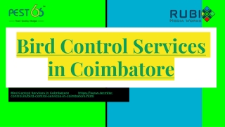 Bird Control Services in Coimbatore