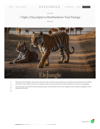 Jaipur to Ranthambore Tour Package with Wildlife Safari Experience