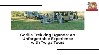 Unforgettable Gorilla Trekking Uganda | Twiga Tours