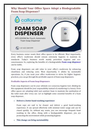 Foam soap dispenser