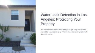 Fast and Reliable Water Leak Detection in Los Angeles
