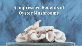 5 impressive benefits of oyster mushrooms