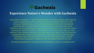 Gachwala Medical Plant Powerpoint