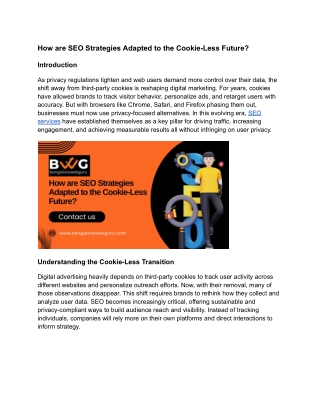 How are SEO Strategies Adapted to the Cookie-Less Future