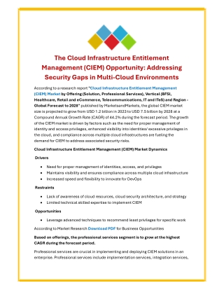Cloud Infrastructure Entitlement Management (CIEM) Market -Size-Share-Industry-Report
