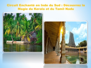 Circuit Enchanté en Inde du Sud  Découvrez la Magie du Kerala et du Tamil Nadu