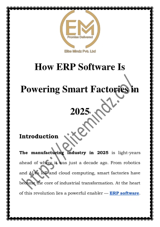 Cloud-Based ERP Systems | Elite Mindz – Complete Business Management Solutions