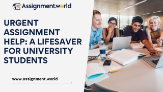 Urgent Assignment Help A Lifesaver for University Students