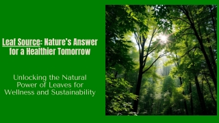 Leaf Source: Nature’s Key to Lasting Wellness