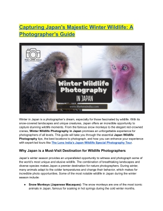 Capturing Japan’s Majestic Winter Wildlife: A Photographer’s Guide