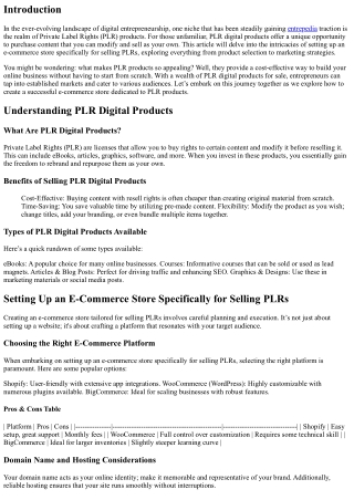 Setting Up an E-Commerce Store Specifically for Selling PLRs