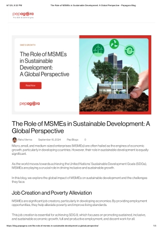 The Role of MSMEs in Sustainable Development_ A Global Perspective