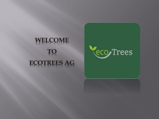 Paulownia holzlatten kaufen | Eco Trees