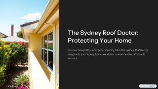 Best Commercial Gutter Cleaning in Sydney | Clogged Gutter Cleanup