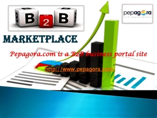 B2B portal for your business in marketplace