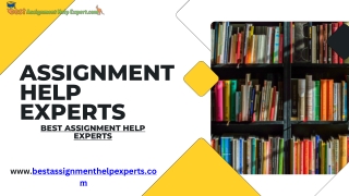 Assignment Help Experts
