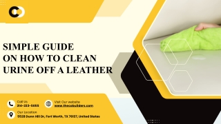 Effective Methods to Clean Urine Off a Leather Couch