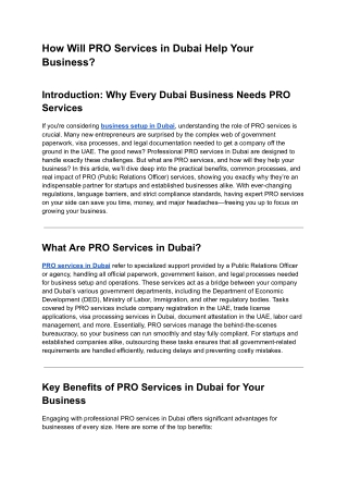 How Will PRO Services in Dubai Help Your Business_