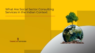 What Are Social Sector Consulting Services in the Indian Context