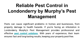 Reliable Pest Control in Londonderry by Murphy’s Pest Management